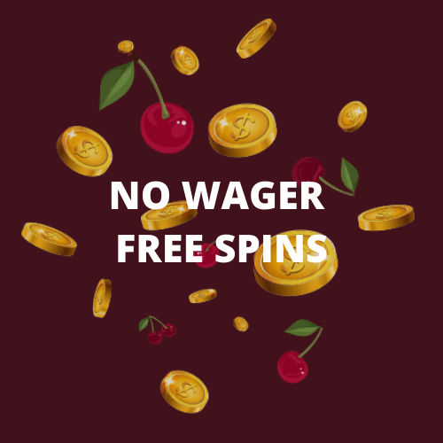 no wager free spins