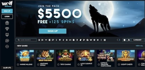 Wolf Winner Casino Review